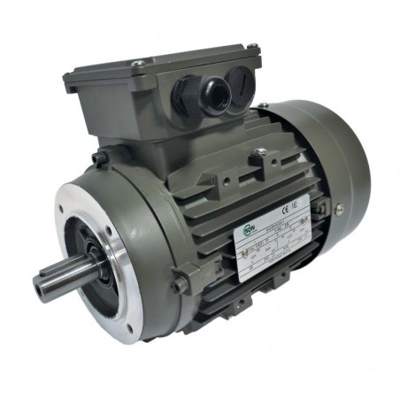 Moteur Électrique 1,5 KW 220V Monophasé – 3000 Tr/min – CEMER ML90S2B14 – Bride B14 – IP55