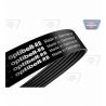 Courroie Poly-V 8 PJ 737 RB Optibelt